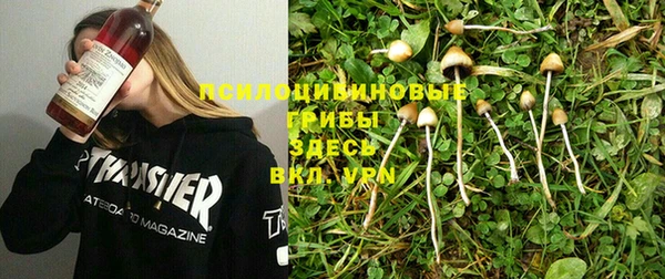 индика Покров