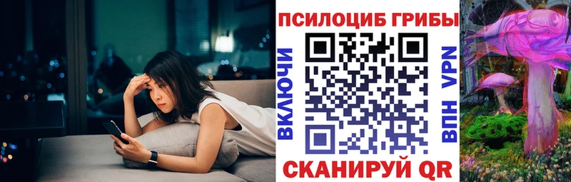 Псилоцибиновые грибы Cubensis  Агидель 
